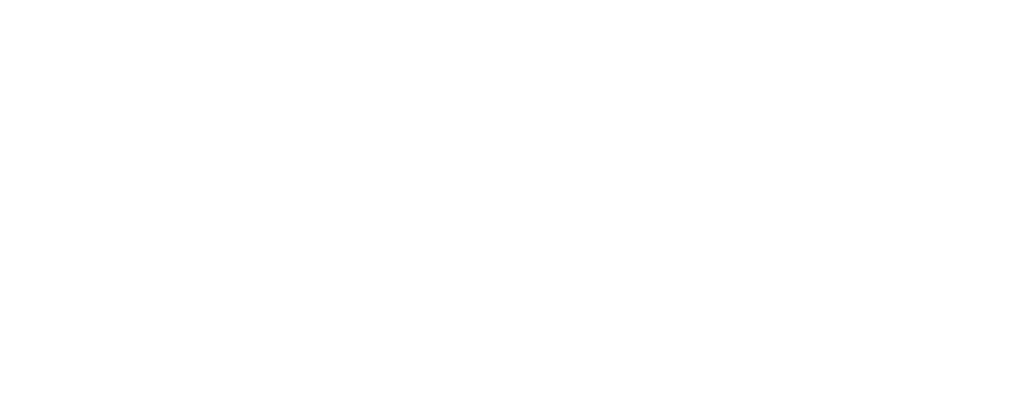 STS-Sektionen